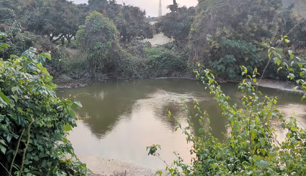 國家地震研究中心-某監測站
